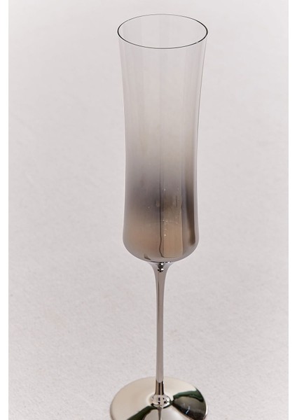 Dream Parade Şampanya Bardağı 2'li fiyatları