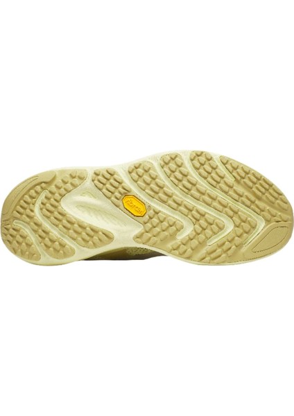 Promorph Erkek Bej Yol Koşusu Ayakkabısı