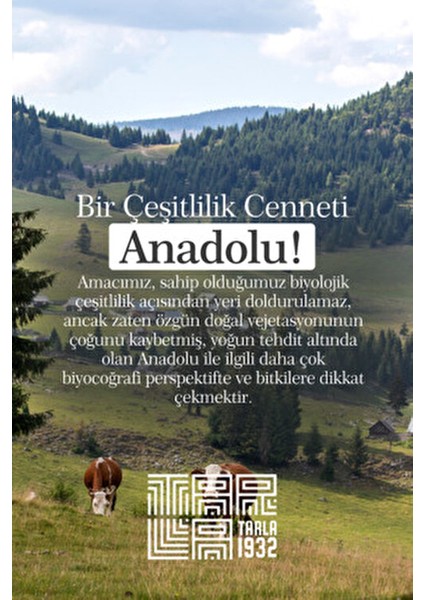 Organik Yulaf Unu | Katkısız & Doğal | 400 gr fırsatları