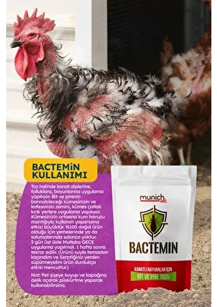 Bactemin Kanatlı Hayvan Bit Pire Tozu 500 gr modelleri