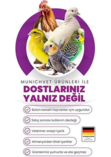 Bactemin Kanatlı Hayvan Bit Pire Tozu 500 gr fırsatları