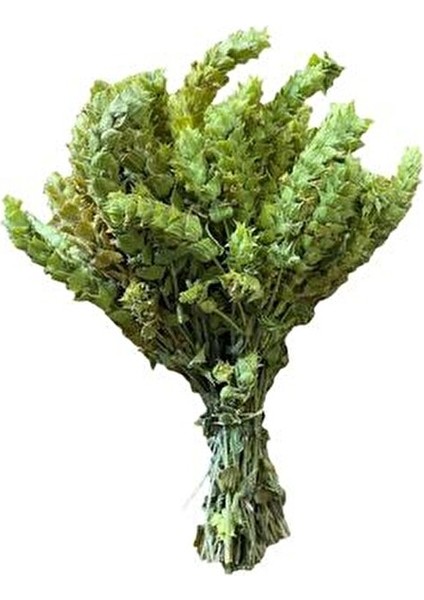 Adaçayı Demet ( Akdeniz Tipi ) Ada Çayı Salvia 50 gr fiyatları