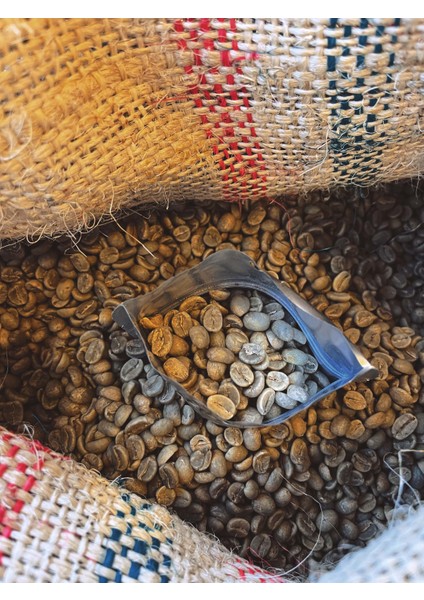 Colombia Yeşil Çekirdek Kahve (Kavrulmamış) Supremo 1 kg modelleri