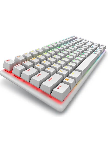 Alienware Pro Rgb Kablosuz Mekanik Gaming Ingilizce Klavye 545-BBFR fırsatları