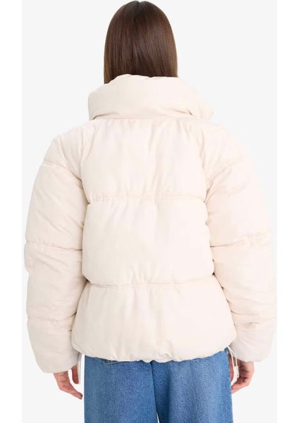 Su Geçirmez Regular Fit Dik Yaka Fermuarlı Şişme Mont E8690AX25AU indirimleri