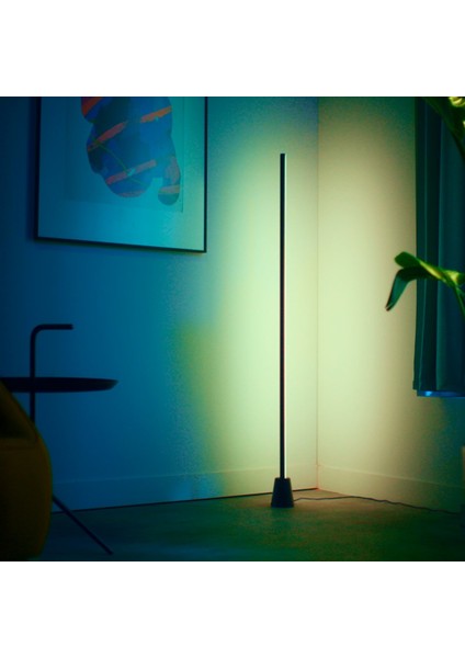 Gradient Zemin Lambası - Siyah (140 Cm)