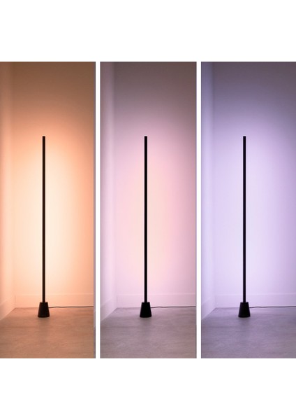 Gradient Zemin Lambası - Siyah (140 Cm)