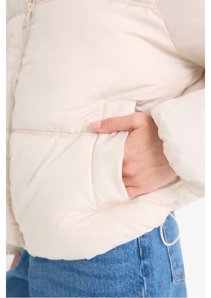 Su Geçirmez Regular Fit Dik Yaka Fermuarlı Şişme Mont E8690AX25AU fırsatları