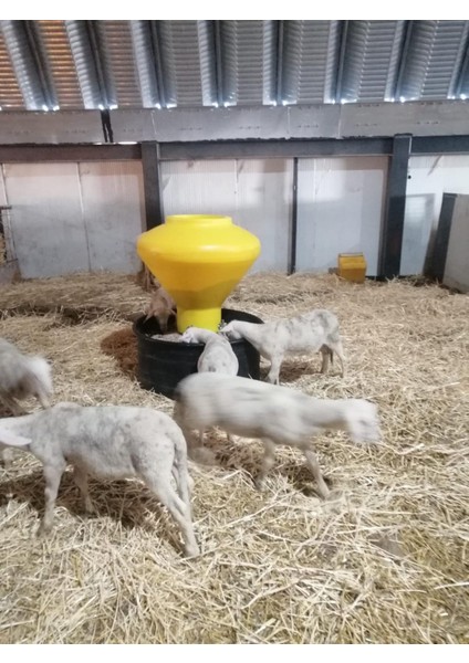 Küçükbaş Plastik Akıllı Yemlik fırsatları