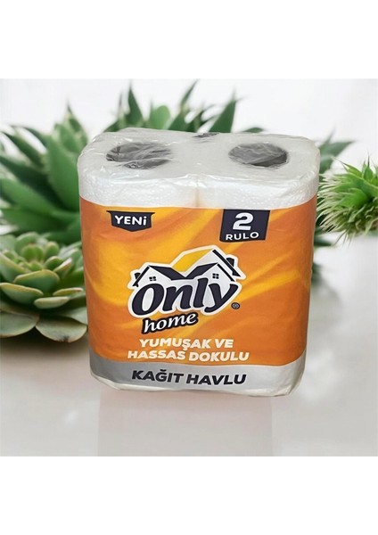 Kağıt Havlu Koli (2 Li 24 Paket)