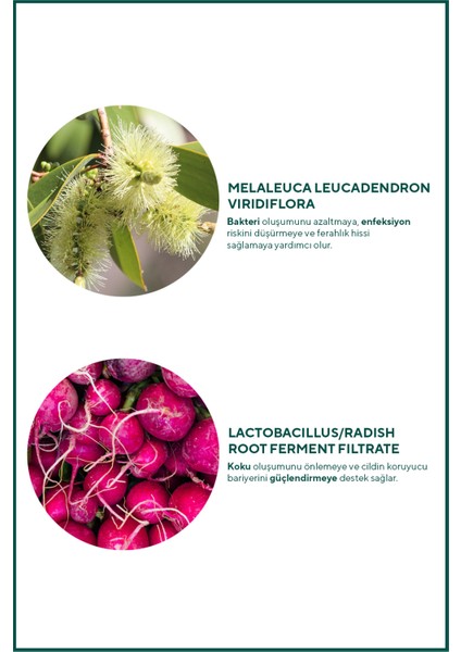 Saf Nioli Suyu Kötü Koku Önleyici Intim Bakım Toniği 100 ml