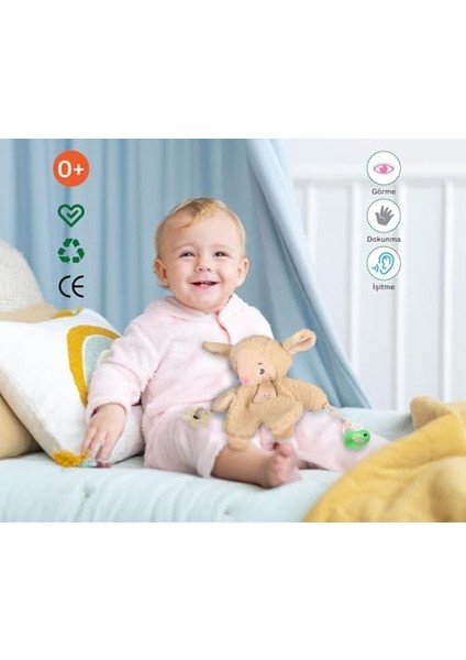 My Playmate Lamb - Oyun Arkadaşım Kuzu modelleri