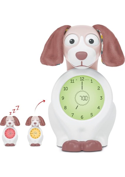 Davy Çocuklar Için Uyku Eğitmeni. Köpek Davy Çocuklarınızın En Iyi Uyku Arkadaşı