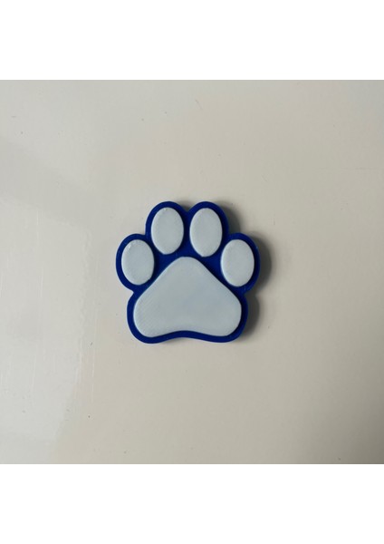 Patalis - 5'li Magnetli Mini Patiler - Mix - Buzdolabı Magneti