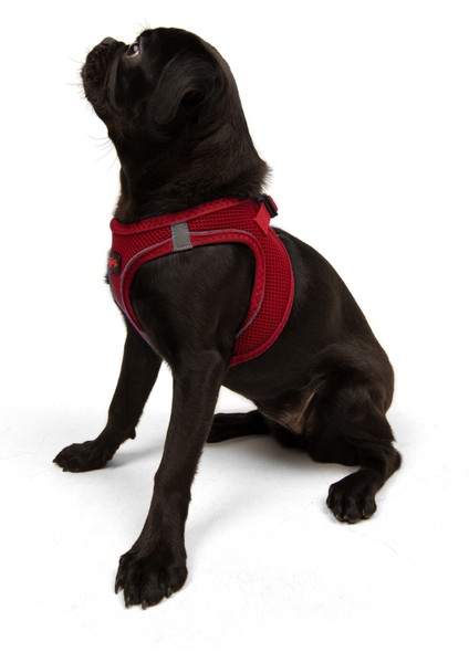 Air-Mesh Harness Köpek Göğüs Tasması Small Kırmızı indirimleri