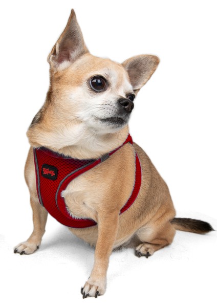 Air-Mesh Harness Köpek Göğüs Tasması Small Kırmızı