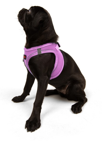 Air-Mesh Harness Köpek Göğüs Tasması XLarge Lila indirimleri