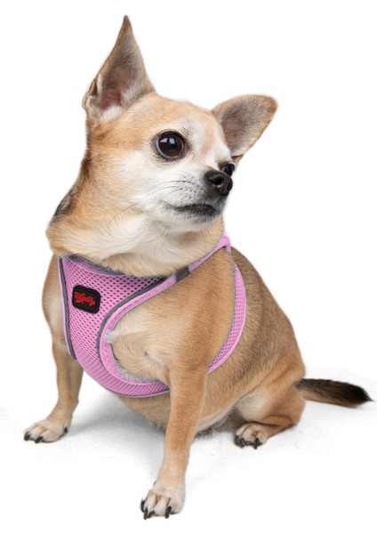 Air-Mesh Harness Köpek Göğüs Tasması XLarge Lila