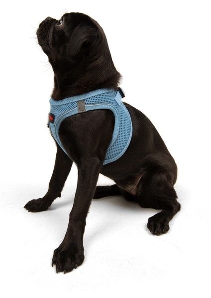 Air-Mesh Harness Köpek Göğüs Tasması XSmall Mavi indirimleri