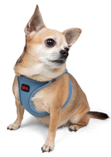 Air-Mesh Harness Köpek Göğüs Tasması XSmall Mavi