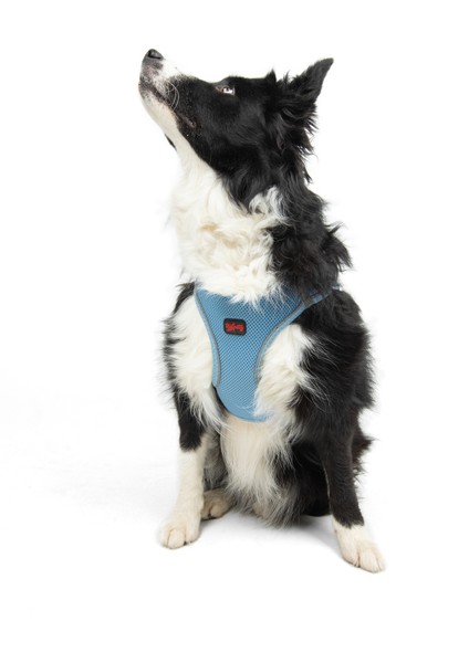 Air-Mesh Harness Köpek Göğüs Tasması XSmall Mavi