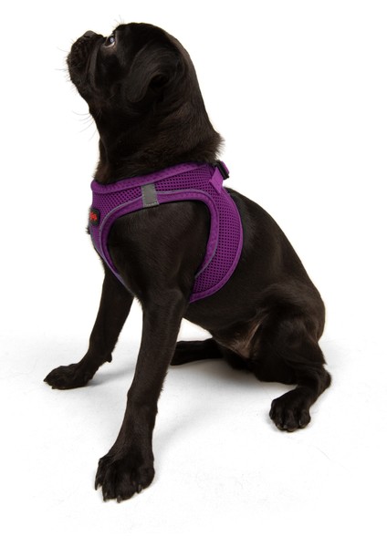 Air-Mesh Harness Köpek Göğüs Tasması Large Mor indirimleri