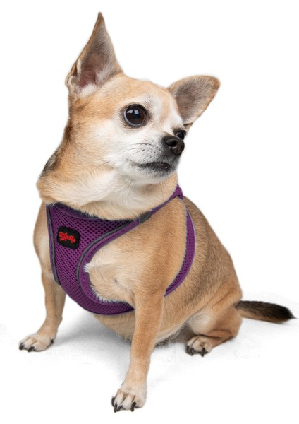 Air-Mesh Harness Köpek Göğüs Tasması Large Mor