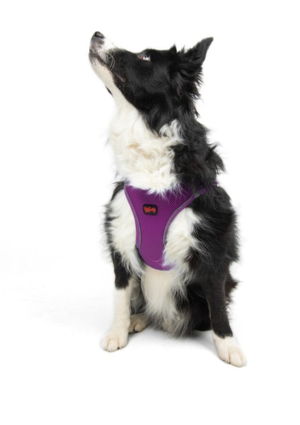 Air-Mesh Harness Köpek Göğüs Tasması Large Mor