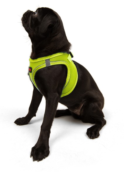 Air-Mesh Harness Köpek Göğüs Tasması XLarge Lime indirimleri