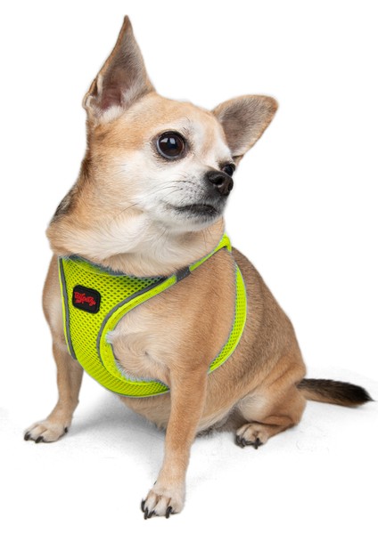 Air-Mesh Harness Köpek Göğüs Tasması XLarge Lime