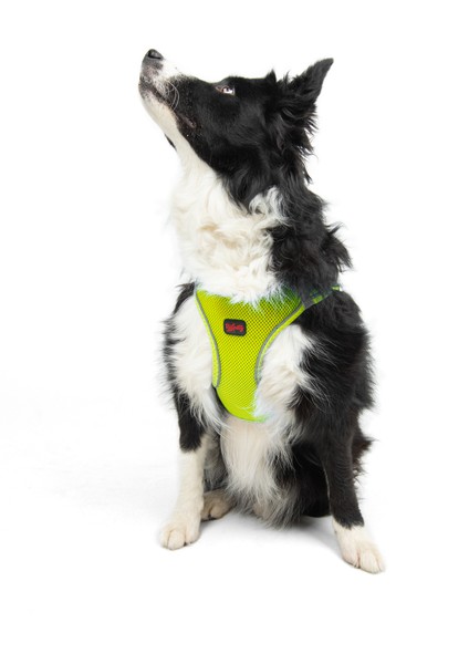 Air-Mesh Harness Köpek Göğüs Tasması XLarge Lime