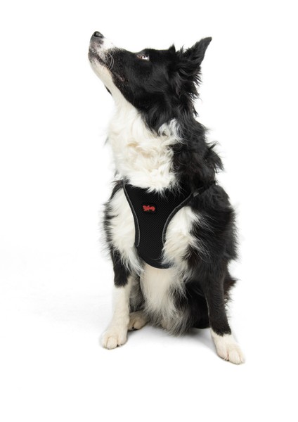 Air-mesh Harness Köpek Göğüs Tasması Siyah