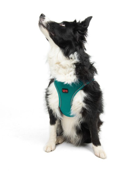 Air-Mesh Harness Köpek Göğüs Tasması XSmall Zümrüt