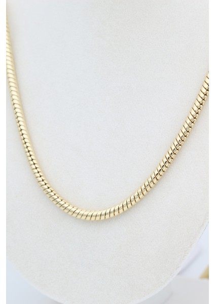 Xupıng Jewelry/ Stil Incisi Balık Sırtı Model Kolye