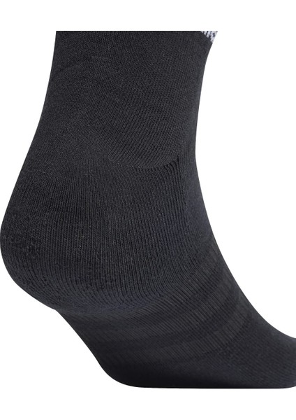 Sportswear IC1277 Cushioned Sportswear Ankle Socks 3 Pairs