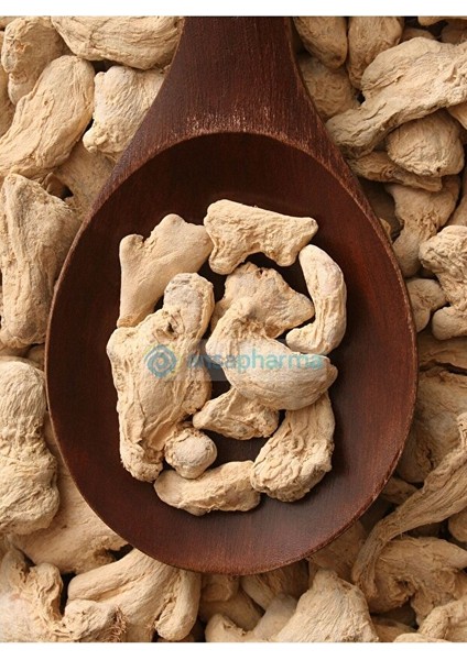 Zencefil Kök 300 Gram modelleri