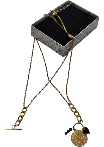 Altın Para Detaylı Gold Çelik Kolye fiyatları