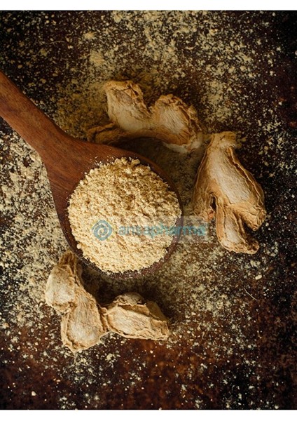 Zencefil Toz Taze Öğütülmüş 350 G (Sipariş Üzerine Öğütülür ve Paketlenir) modelleri