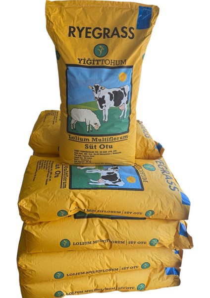 25 kg Çim Tohumu Tek Yıllık