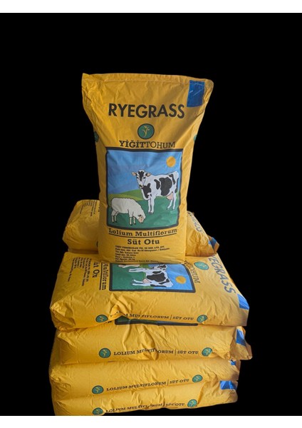 25 kg Çim Tohumu Tek Yıllık fiyatları