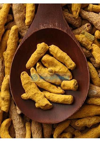 Zerdeçal Kök 500 Gram modelleri