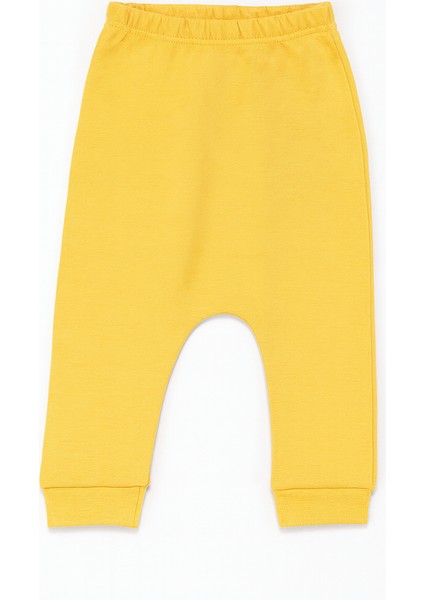 Ayıcık Nakışlı Üçlü Erkek Bebe Pijama Takımı modelleri