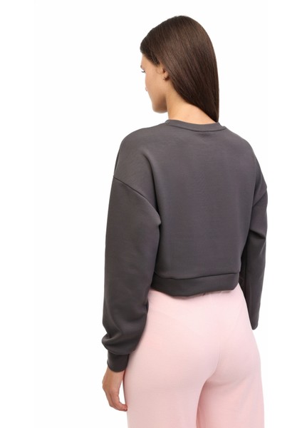 Wl Arat Yog1-7 Yog1 5pr Gri Kadın Sweatshirt fiyatları