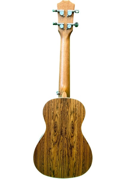 Concert Ukulele fiyatları