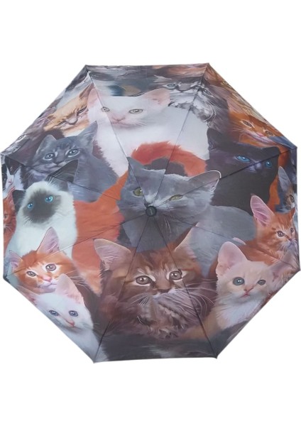 Sevimli Kedi Yavruları Desenli Rüzgara Dayanıklı Manuel Bayan Şemsiyesi