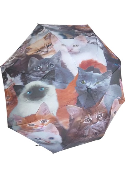 Sevimli Kedi Yavruları Desenli Rüzgara Dayanıklı Manuel Bayan Şemsiyesi fiyatları