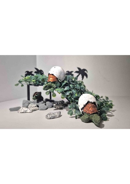 Kaplumbağa Çiçekli Yol Tırmanma Rampası 16X10CM fiyatları