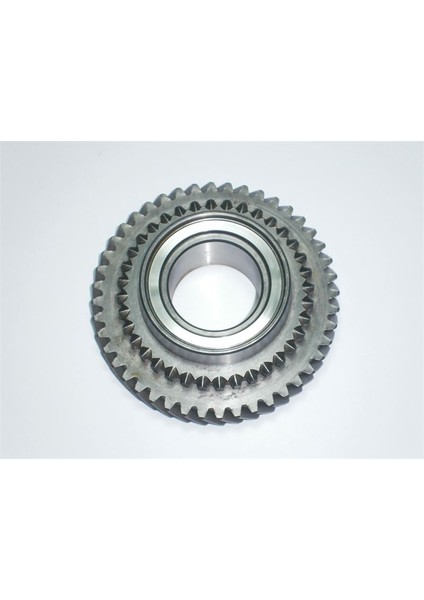 24 002311261 - Vites Dişlisi 2. Vites Favorit Forman 88-95 Felicia 95-01