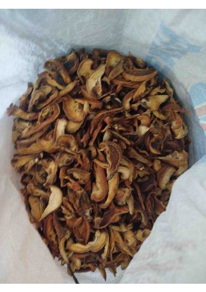 Armut Kurusu fiyatları