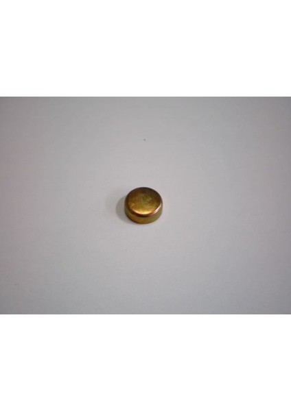 24 N90802601 - Silindir Kapak Tapası Küçük ( 20MM ) Prinç Favorit 88-95 Forman 88-95 Felicia 95-01